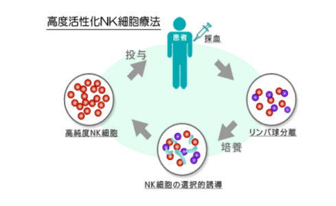 日本看病之高度活化NK细胞疗法
